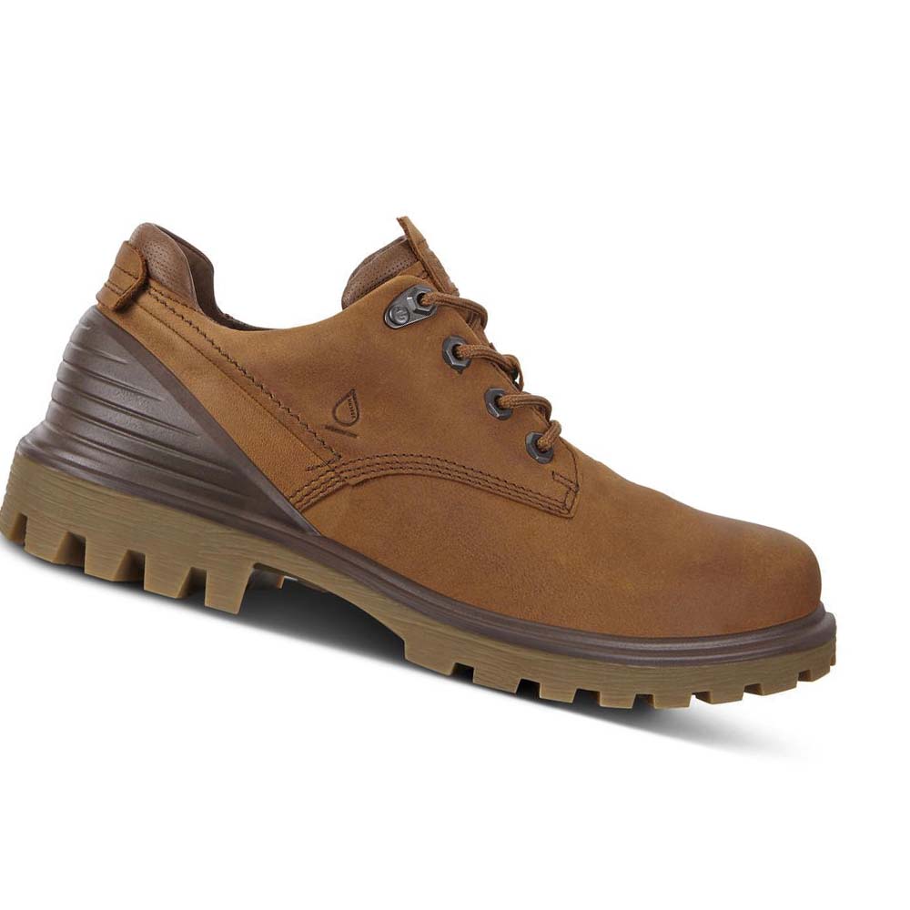 Ecco Tredtray Hiking & Trail Herr Bruna | SE 575PJJ